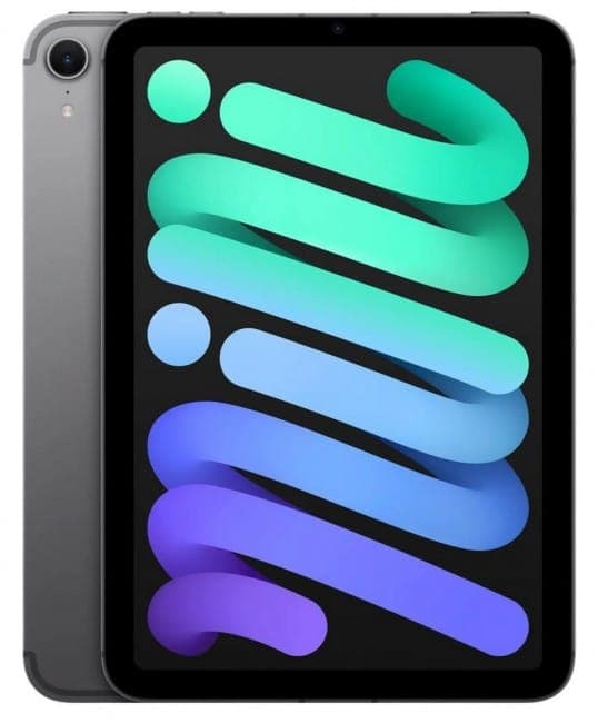 iPad Mini 512GB Gwiezdna Szarość